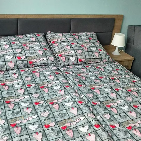 Accommodatie bij particulieren Goscinne Swarzewianka *